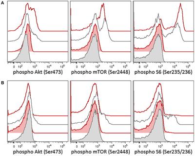 Comprehensive Molecular Profiling for Relapsed/Refractory Pediatric Burkitt Lymphomas—Retrospective Analysis of Three Real-Life Clinical Cases—Addressing Issues on Randomization and Customization at the Bedside